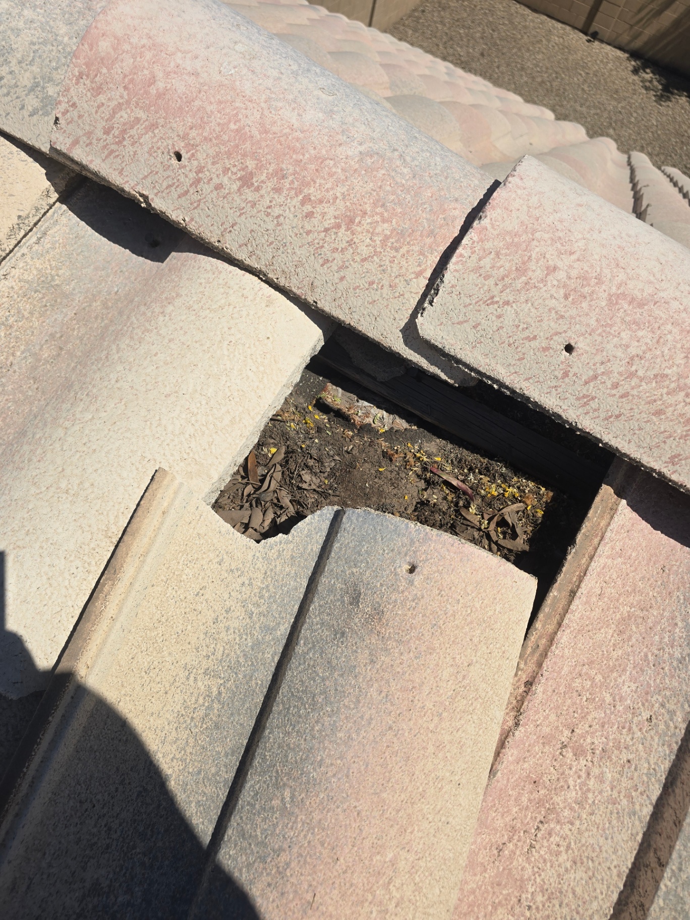 Missing tile exposing rotted batten and dry, brittle underlayment