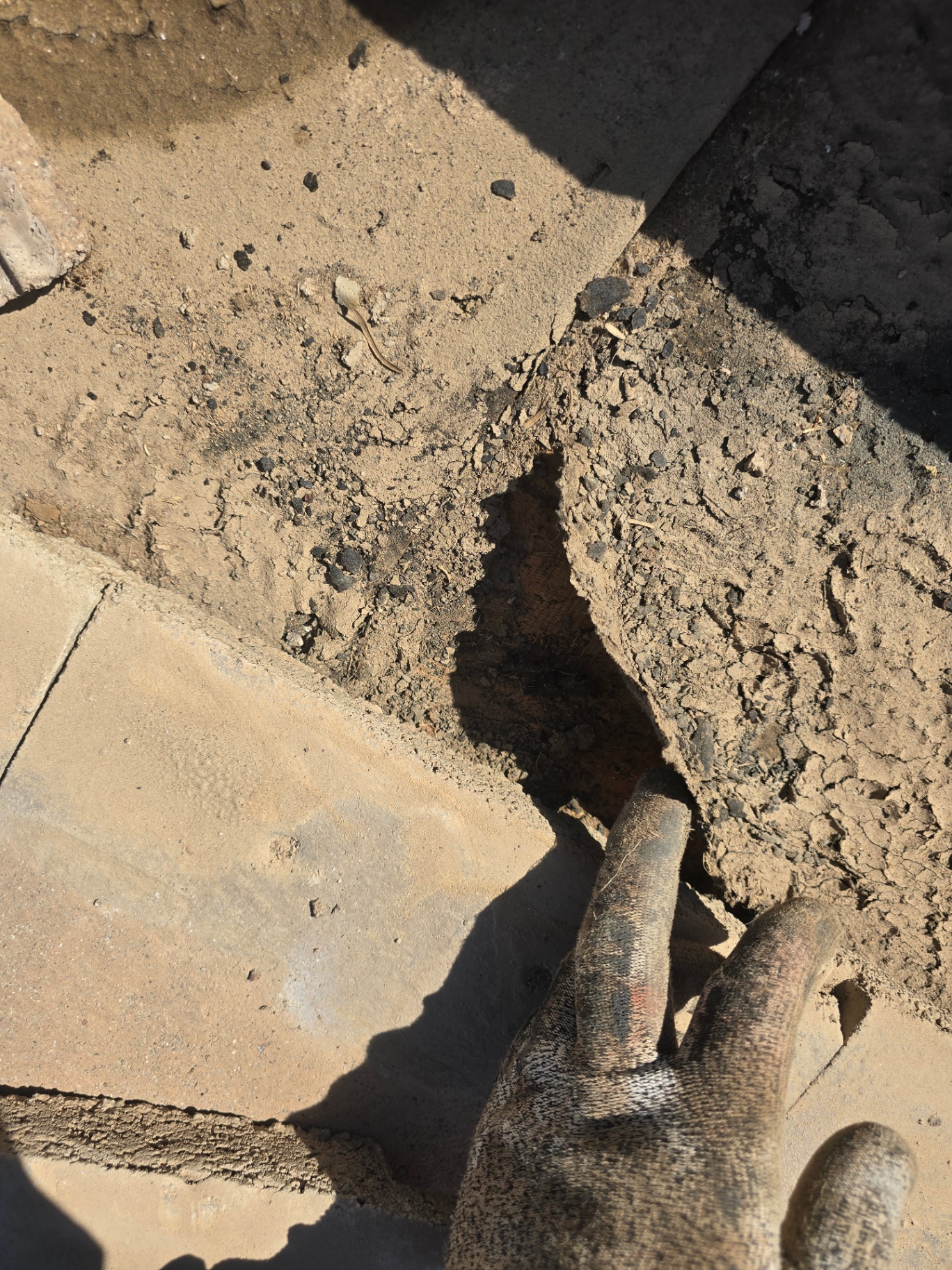 Crumbling mortar bed and exposed batten documented in inspection photos