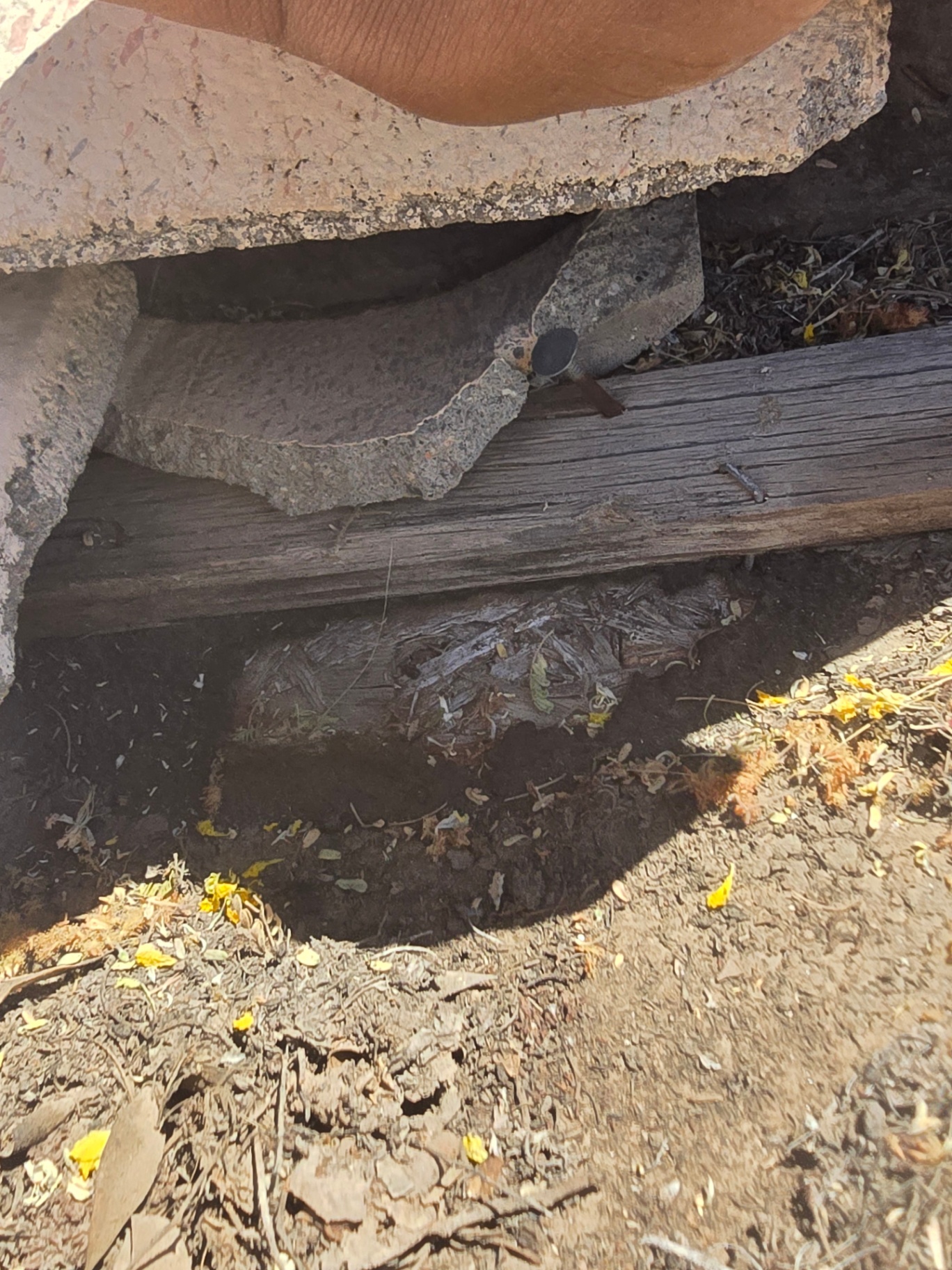 Cracked eave tile and decayed wood batten documented during inspection