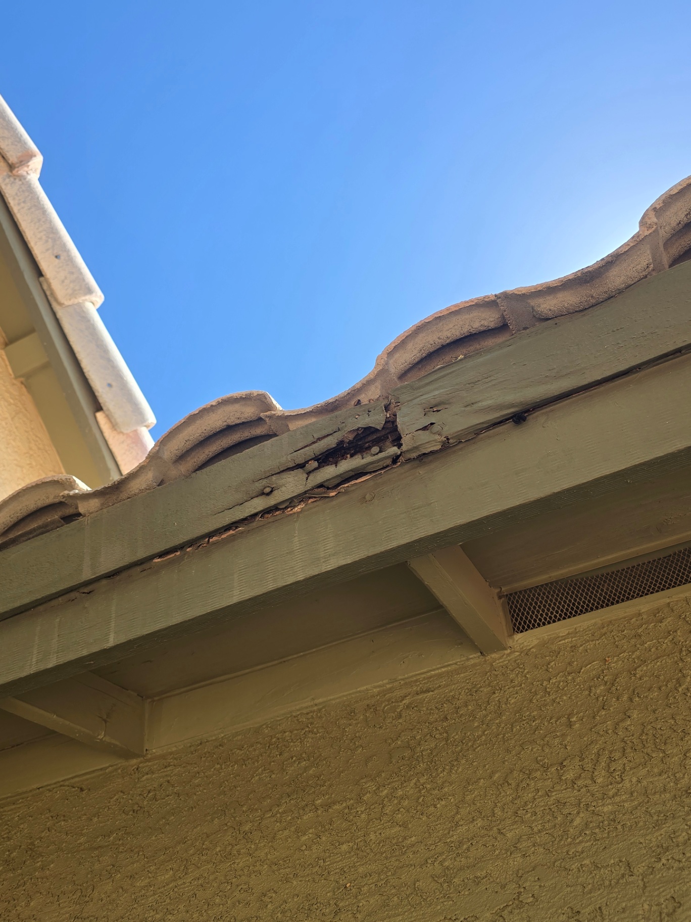 Rotted fascia board hidden under eave tiles, found during a roof inspection