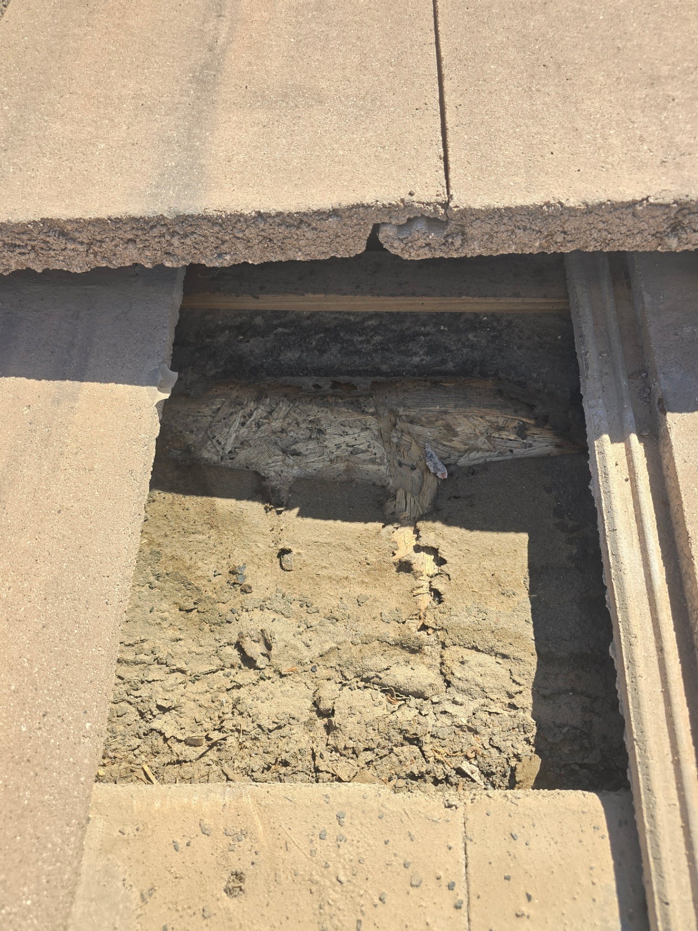 Worn OSB deck and dried-out mud pack visible through a missing tile